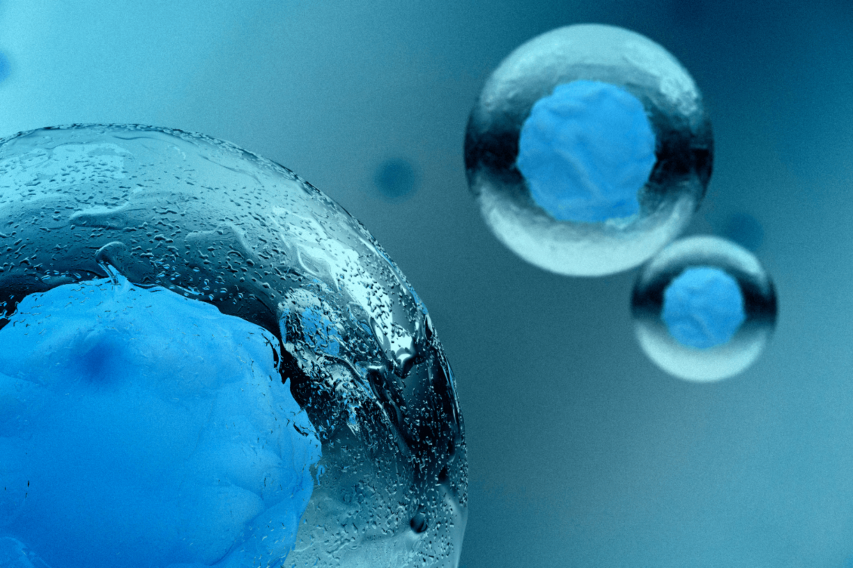 Life Sciences