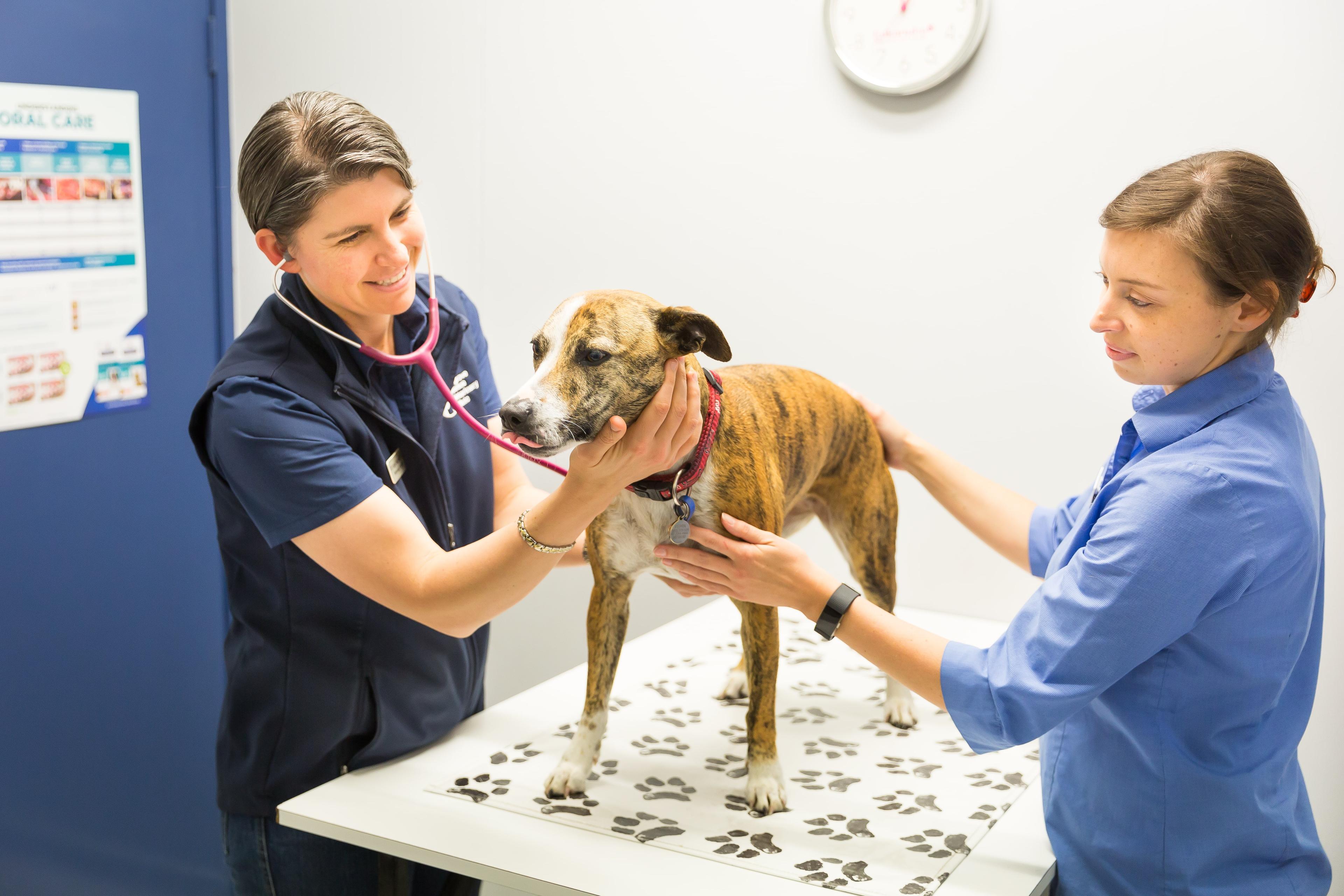 VetPartners