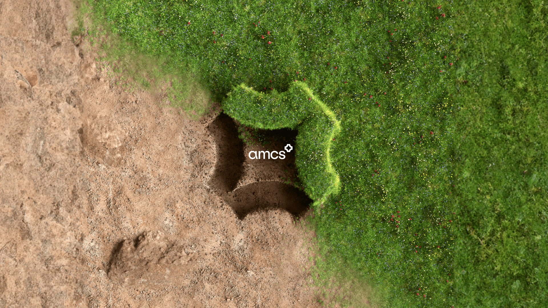 AMCS Grassy Keyframe w Logo