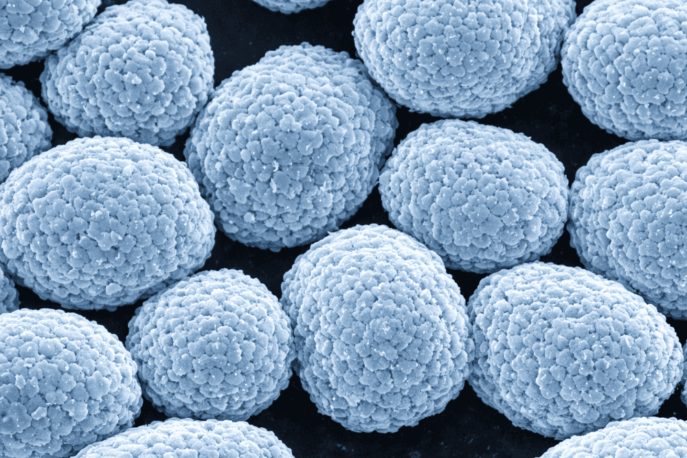 Critical Minerals Grant